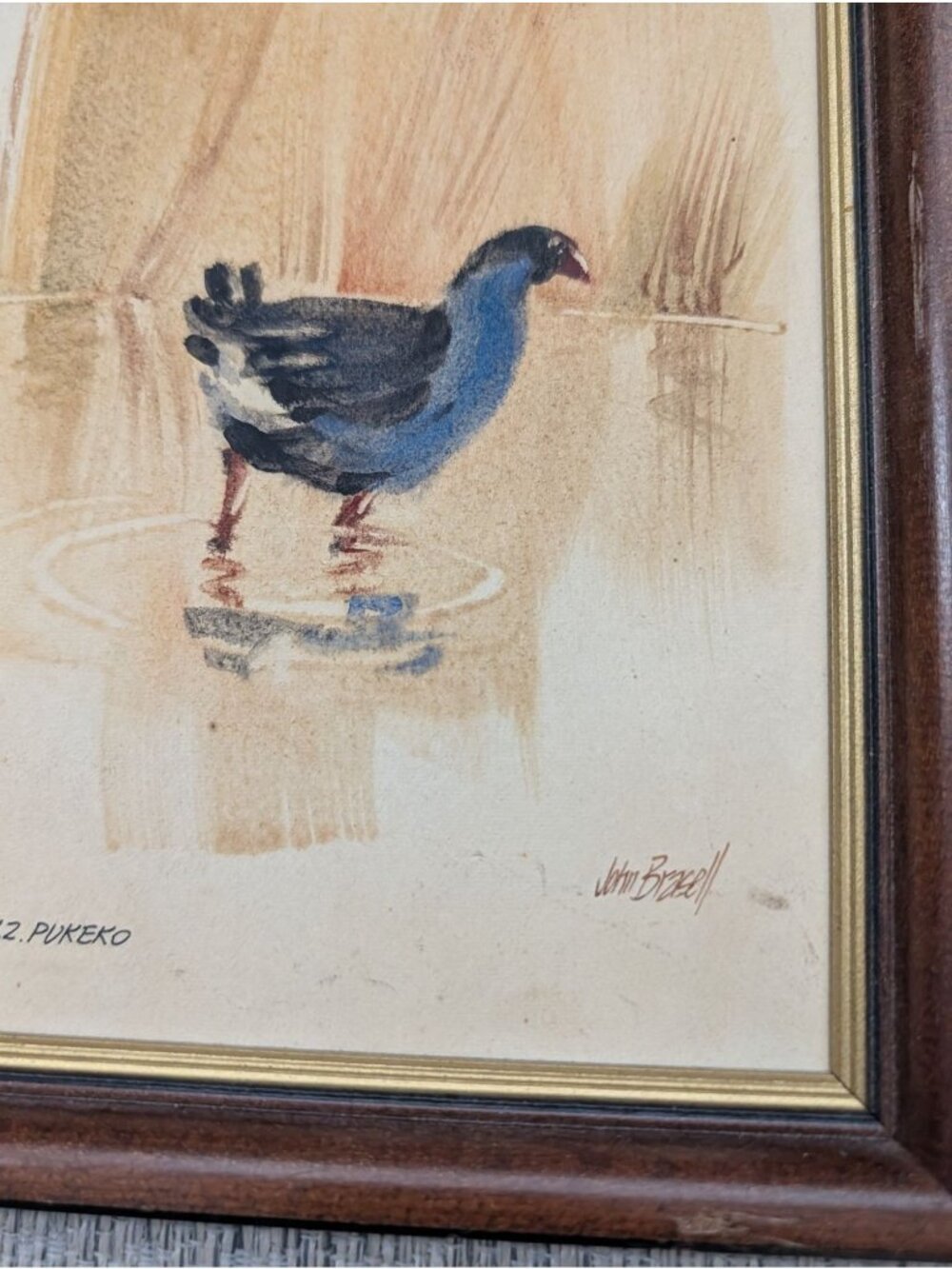 New Zealand Pukeko Artwork John Brasell in Wood Frame Minor Flaws 8.5 x 6 in - Picture 14 of 15